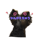 茶まめのまめちゃん3（個別スタンプ：2）