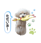 オレオとステラ（個別スタンプ：15）