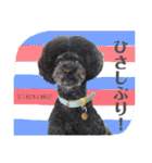 オレオとステラ（個別スタンプ：17）