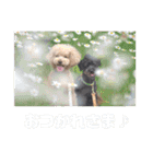 オレオとステラ（個別スタンプ：19）