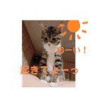 ひまの力で伝える（個別スタンプ：7）
