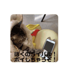 ひまの力で伝える（個別スタンプ：8）