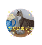ひまの力で伝える（個別スタンプ：9）