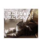 ひまの力で伝える（個別スタンプ：12）