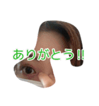 ざースタ 日常編（個別スタンプ：3）