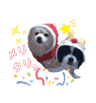 陸＆空くん一家とボコちゃん（個別スタンプ：2）