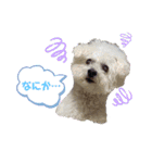 陸＆空くん一家とボコちゃん（個別スタンプ：4）