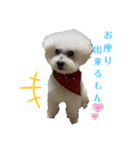 陸＆空くん一家とボコちゃん（個別スタンプ：13）