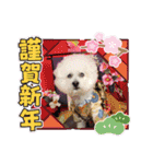 陸＆空くん一家とボコちゃん（個別スタンプ：24）