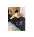 愉快な人たちなんです（個別スタンプ：5）