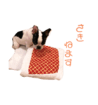 フレンチブルドック らむちゃん2（個別スタンプ：6）