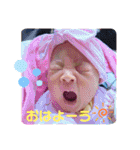 海璃♡珠楠（個別スタンプ：1）