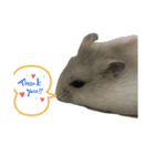 動物のかわいらしさ、（個別スタンプ：2）