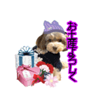 はんちゃんLove 2（個別スタンプ：9）