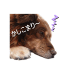 おコトさん2（個別スタンプ：5）