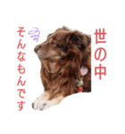 おコトさん2（個別スタンプ：6）
