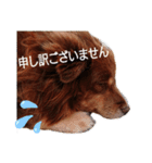 おコトさん2（個別スタンプ：7）