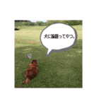 おコトさん2（個別スタンプ：13）
