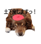 おコトさん2（個別スタンプ：15）