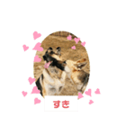 うるし＆禅（個別スタンプ：3）