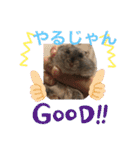 栗ちゃんの日常日記♡（個別スタンプ：3）