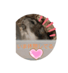 栗ちゃんの日常日記♡（個別スタンプ：5）