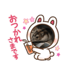 栗ちゃんの日常日記♡（個別スタンプ：12）