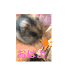 栗ちゃんの日常日記♡（個別スタンプ：13）