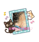 栗ちゃんの日常日記♡（個別スタンプ：20）