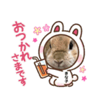 うさぎ3姉妹（個別スタンプ：5）