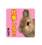 うさぎ3姉妹（個別スタンプ：14）