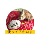 うさぎ3姉妹（個別スタンプ：18）