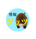うさぎ3姉妹（個別スタンプ：24）