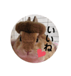 うさぎ3姉妹（個別スタンプ：35）