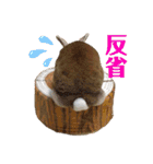 うさぎ3姉妹（個別スタンプ：39）