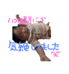 ちびーずfy091（個別スタンプ：16）
