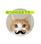 baguette girls（個別スタンプ：7）