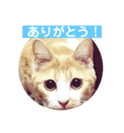 baguette girls（個別スタンプ：9）