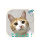 baguette girls（個別スタンプ：16）