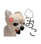 永遠（えいと）スタンプ（個別スタンプ：2）