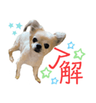 永遠（えいと）スタンプ（個別スタンプ：5）