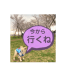 永遠（えいと）スタンプ（個別スタンプ：7）