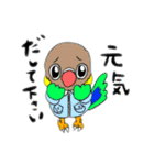 技術部インコ（個別スタンプ：7）