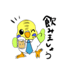 技術部インコ（個別スタンプ：10）
