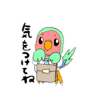 技術部インコ（個別スタンプ：11）