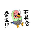 技術部インコ（個別スタンプ：12）