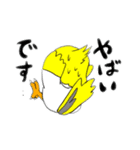 技術部インコ（個別スタンプ：13）