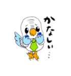 技術部インコ（個別スタンプ：21）