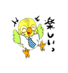 技術部インコ（個別スタンプ：25）