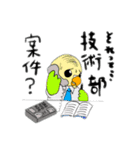 技術部インコ（個別スタンプ：37）